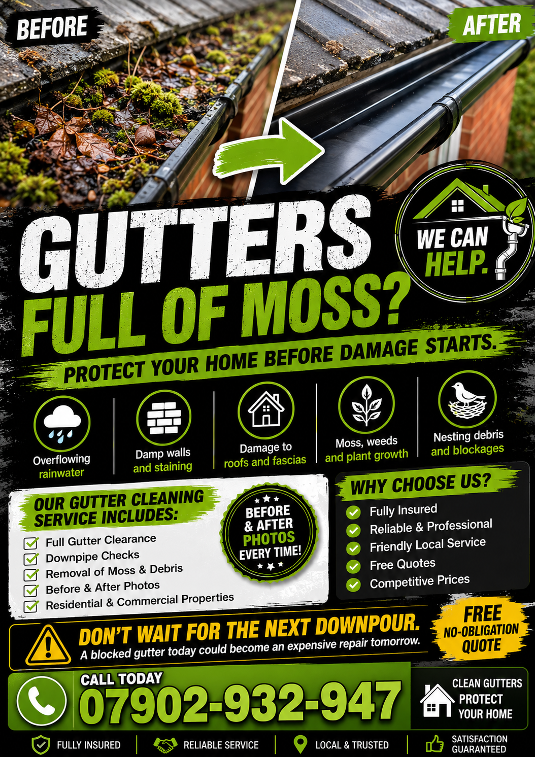 Gutter Cleaning Design 1